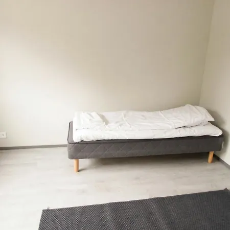 Spacious For 3 With Sauna * Äänekoski